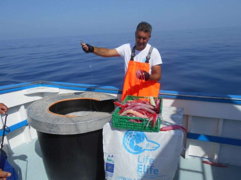 Ridurre la mortalità di squali e razze durante la pesca, si sperimenta una nuova rete