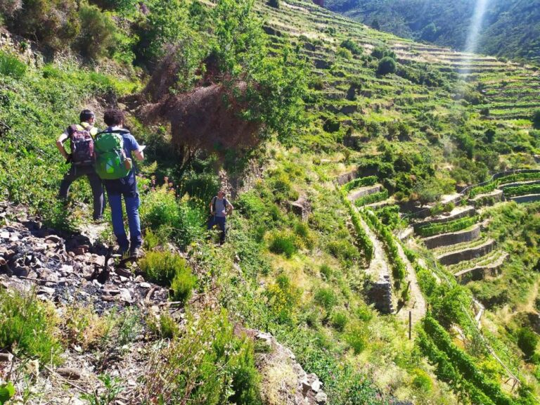Parco delle Cinque Terre, a breve corsi per costruttori muretti a secco
