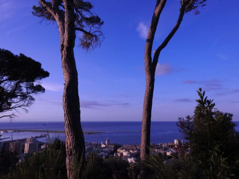 Alba a Villa Durazzo Pallavicini, l’evento speciale di ferragosto nel parco di Pegli