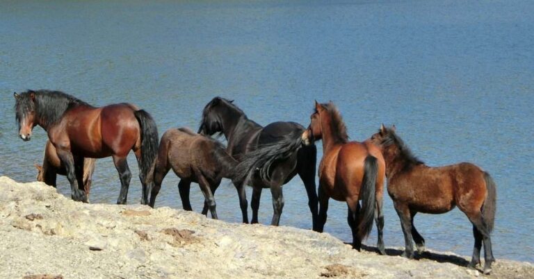 Visite guidate e spettacoli il 27-28 agosto nelle valli del Parco dell’Aveto