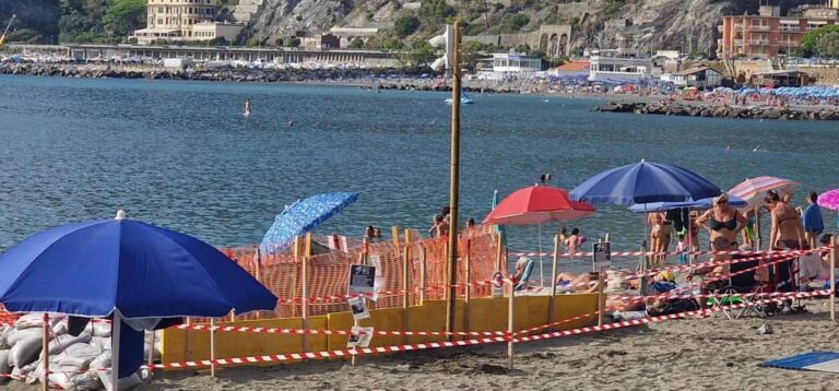 Levanto, una webcam per seguire la schiusa delle uova di Caretta caretta