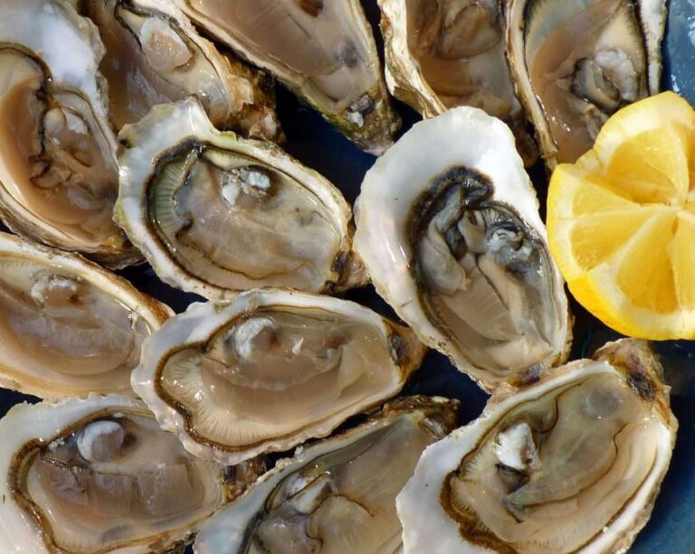 Genova: al Mog dal 27 al 31 ottobre il Temporary oyster bar di Luca Mantovani