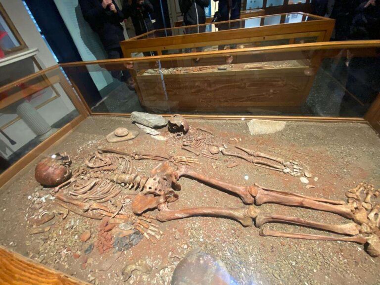 Musei civici di Genova, nelle festività oltre 21 mila visitatori (+18%)