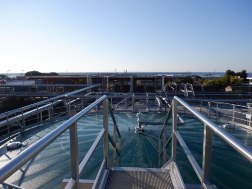 Carmagnani vuole crescere e attende che le istituzioni decidano sulla sua riallocazione