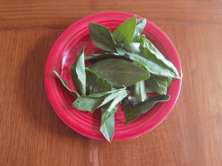 Cime di fava in insalata