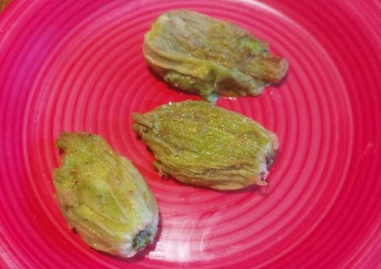 Fiori di zucchina al brandacujun