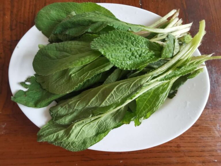 Tortino di borragine