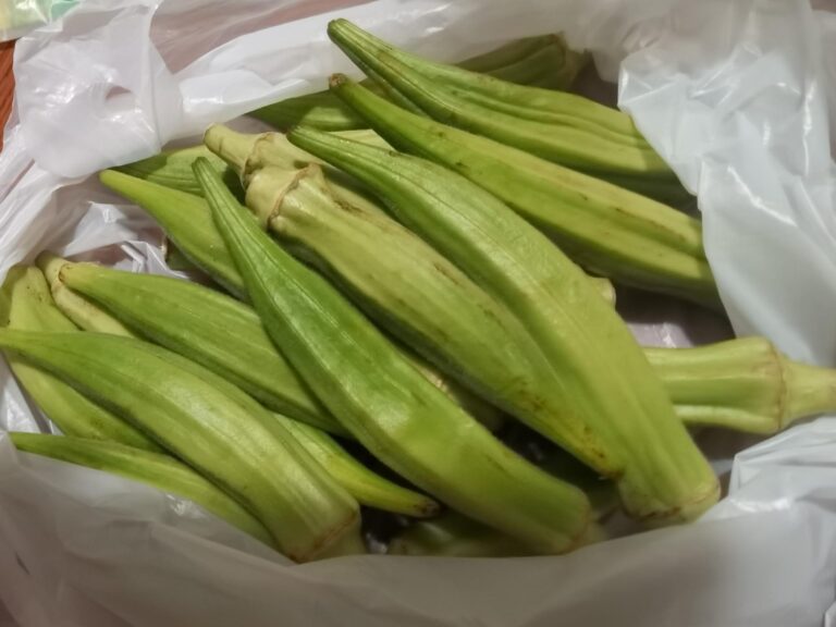Pasta al pesto con ocra