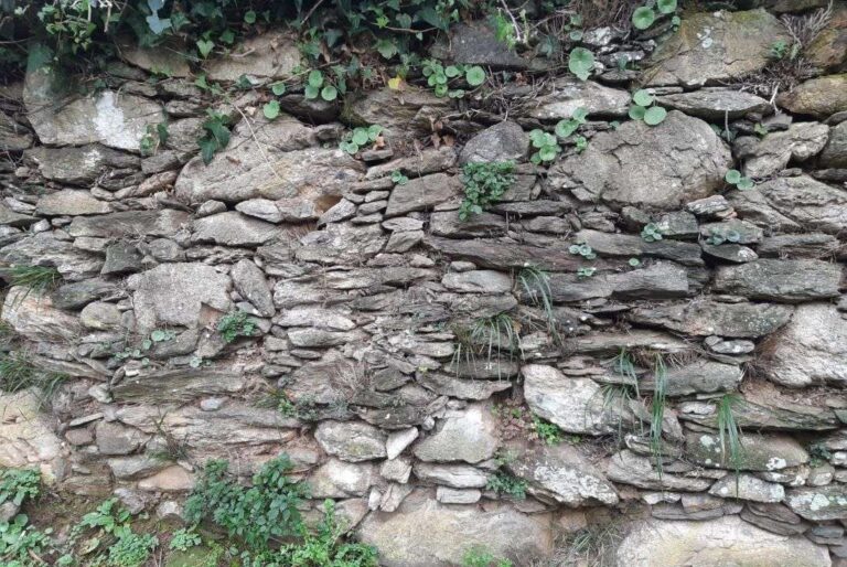 Muri a secco: il bando da 9,4 milioni ha raccolto 1.323 domande