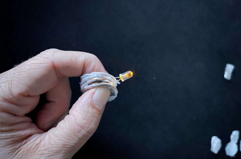 Festival della Scienza, tre attività per bambini nella giornata “M’illumino di meno”