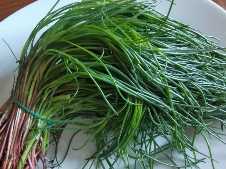 Agretti alle acciughe