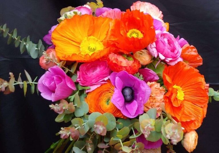 Sul palco del Festival di Sanremo i fiori della Liguria