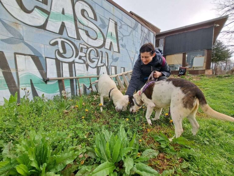 Da Asef cremazioni gratuite per i randagi dei canili di Genova