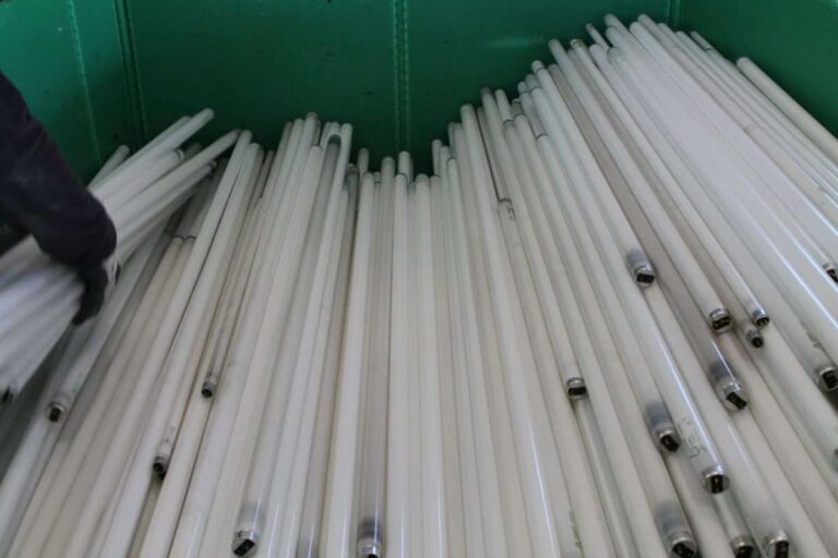 Raee, Ecolamp: nel 2023 in Liguria raccolte e smaltite 24 tonnellate di led e lampadine