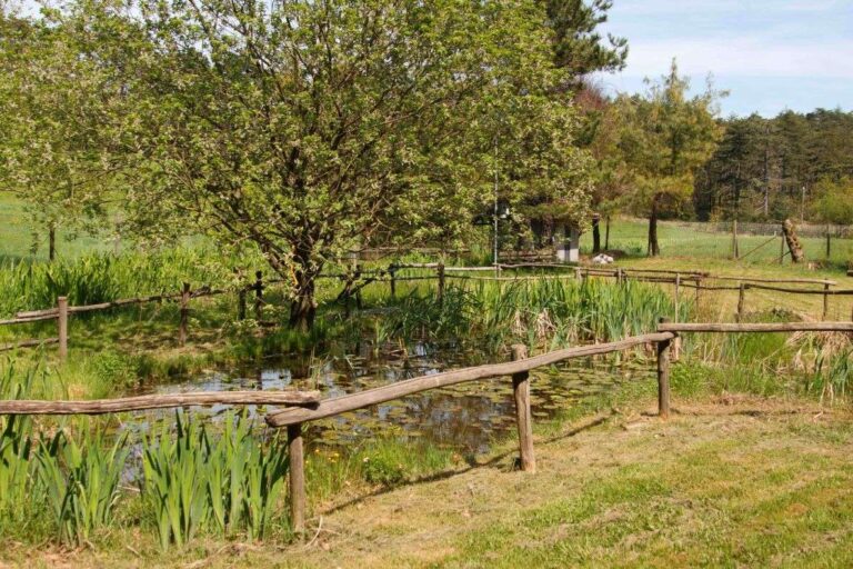 Giardino botanico di Pratorondanino: tante attività previste per l’estate 2024