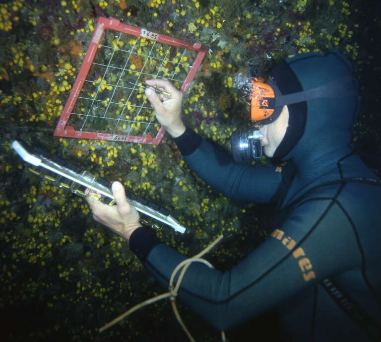 “Com’è profondo il mare”, al via ciclo di conferenze scientifiche all’Acquario