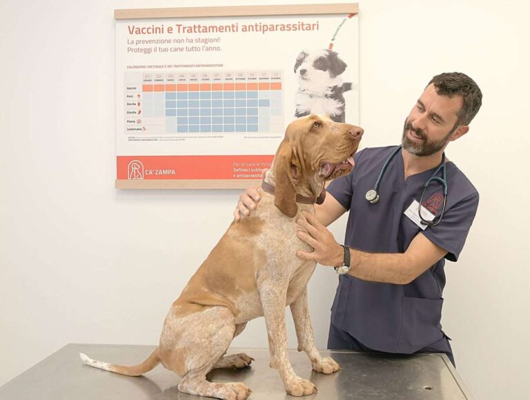 Ca’ Zampa investe in Liguria, l’a.d. Salza: «Vogliamo più che raddoppiare i centri sul territorio entro fine anno»