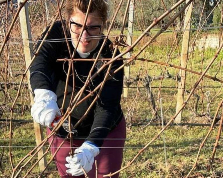 Donne in Campo: in Liguria sono quasi 3.000 le imprese agricole a conduzione femminile