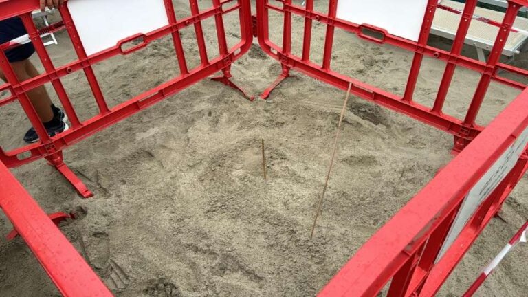 Terza nidificazione di Caretta caretta in Liguria: stavolta ad Alassio