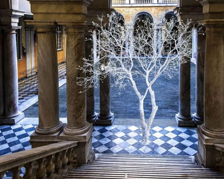 A Castello d’Albertis dal 19 luglio al 13 ottobre “Artificialia, il rinnovo della meraviglia”