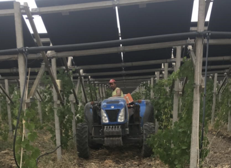 Iren ha acquisito Agrovoltaica e a Rovigo realizzerà il primo progetto di agrivoltaico in Italia