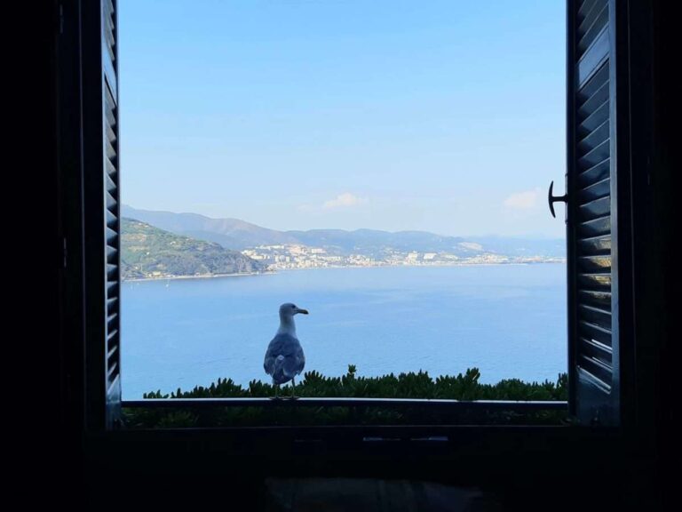 Regolamento affitti brevi, Fiaip: in Liguria 18mila strutture non sono a norma