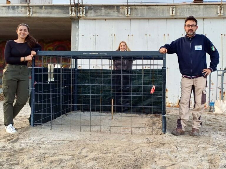 Tartarughe a Pietra Ligure: è arrivato il momento della possibile schiusa