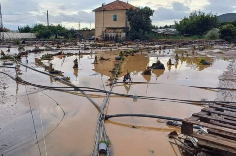 Alluvione Albenga: sono oltre 70 le domande presentate, per 880 mila euro di danni