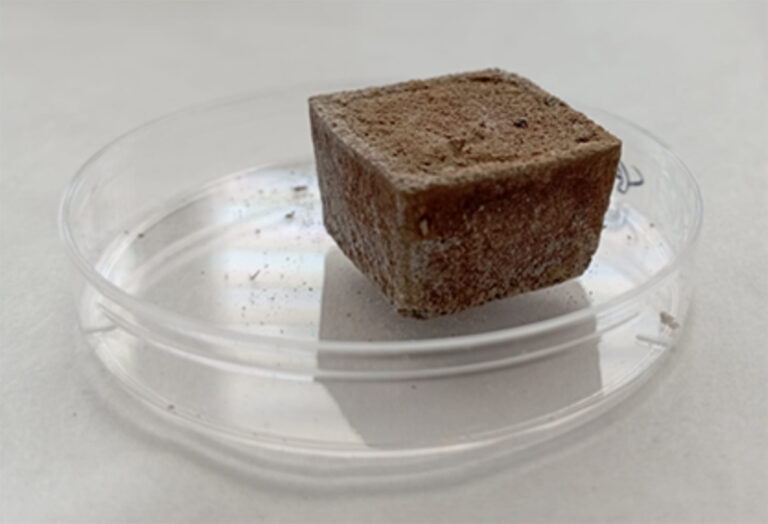 Nucleare, Enea: progetto da 23 milioni per la gestione in sicurezza dei rifiuti radioattivi