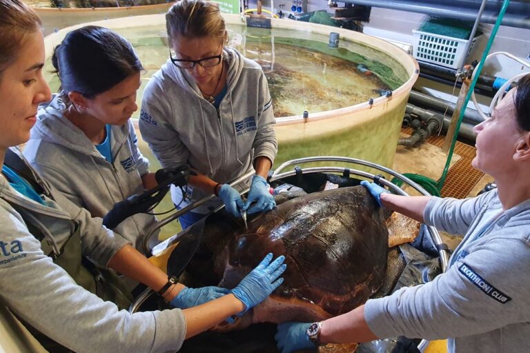 Acquario di Genova: al via la nuova collaborazione con AniCura Clinica Veterinaria Foce