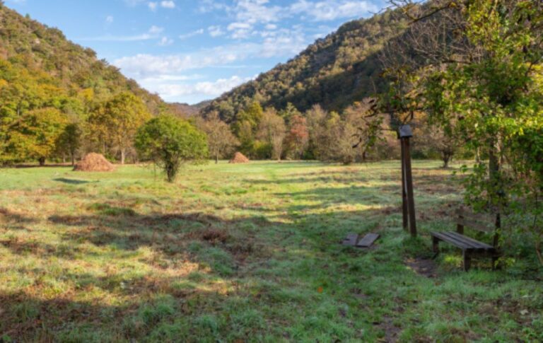 Parco del Beigua, insieme a Fastweb ripristinata un’area di 10 mila mq a Rossiglione