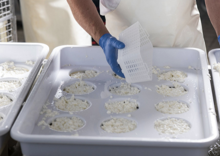 Caseificio Val d’Aveto lancia lo yogurt colato senza lattosio