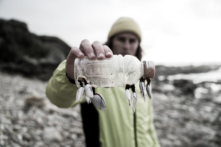 Mercoledì Scienza, 11/12: Surf-stainable. L’impatto degli sport acquatici sulla conservazione degli Oceani