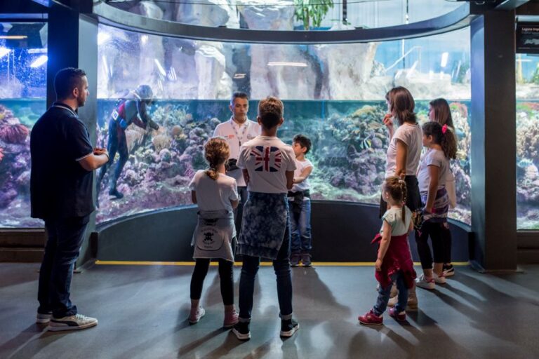 Le iniziative dell’AcquarioVillage per il ponte della Befana