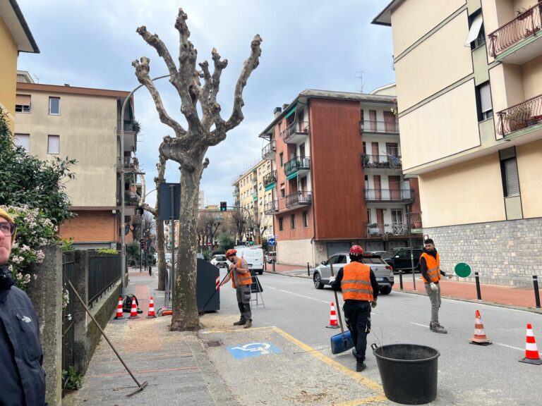 Recco, al via  la potatura degli alberi in via Pisa