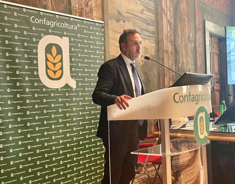Alessandro Piana al convegno “Olio di oliva, dalla tradizione al futuro”: «Riconoscimento Igp acceleri»