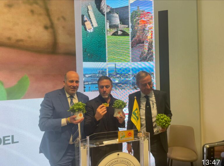 Old Basil, si chiude il progetto: recuperate sementi originali del basilico genovese