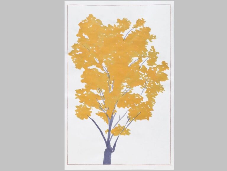 A Palazzo Ducale dal 27 febbraio al 22 marzo la mostra “Alberi! 30 frammenti di storia d’Italia”