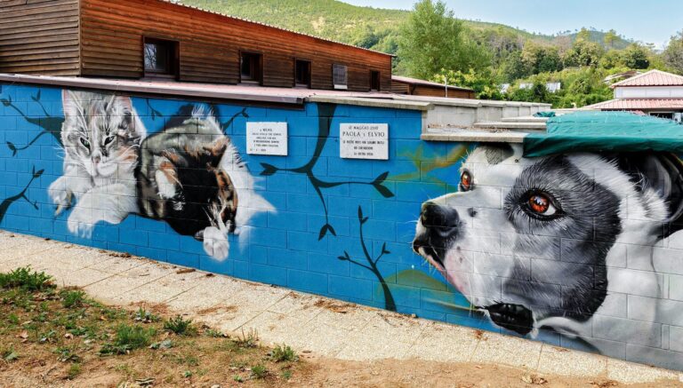 Canile Monte Contessa ecco il nuovo bando per la gestione