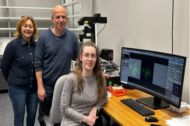 Erionite, la “fibra killer” peggio dell’amianto: individuato potenziale meccanismo di tossicità