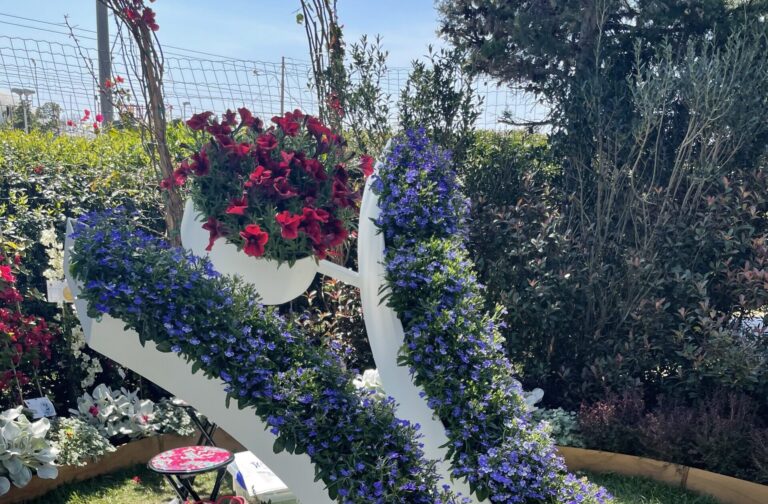 Euroflora: le piante aromatiche riducono la CO2 e regolano il microclima