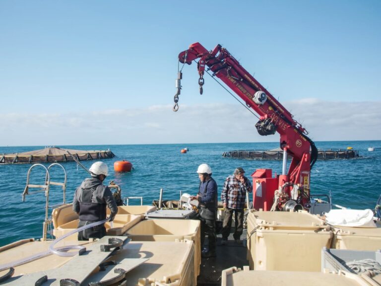 Nella Legge di stabilità della Regione nuove prospettive per le imprese ittiche liguri