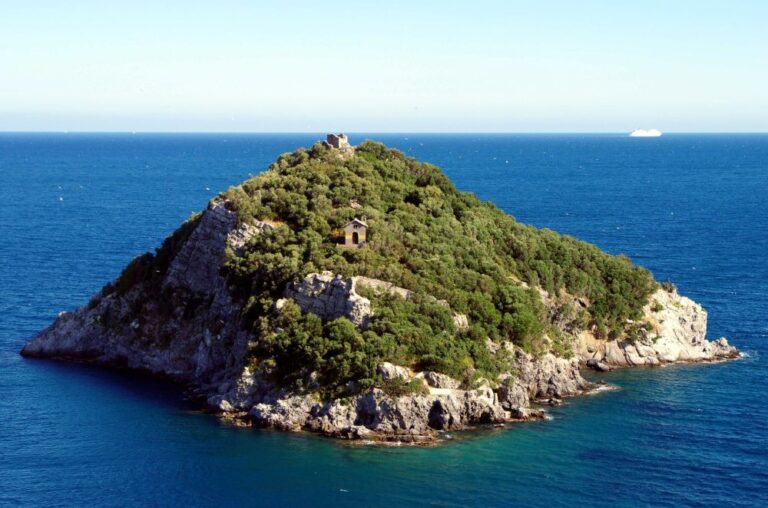 Friends of Genoa e Msc Foundation per il mare e per l’area marina protetta di Bergeggi