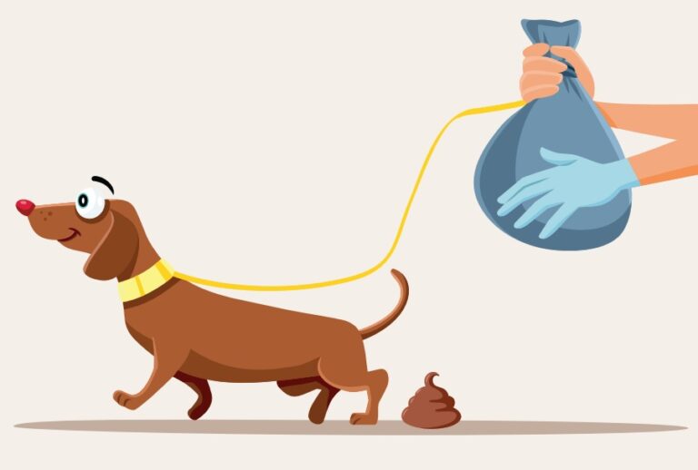 Alla Spezia nuova campagna per incentivare la raccolta delle deiezioni canine