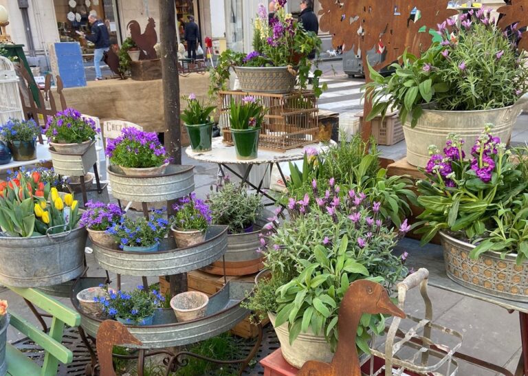 Cesarea in Fiore, a Genova torna l’iniziativa del Civ il 29 e 30 maggio