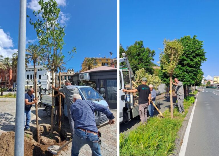 Verde urbano, il Comune di Sestri Levante lancia il nuovo piano di riqualificazione