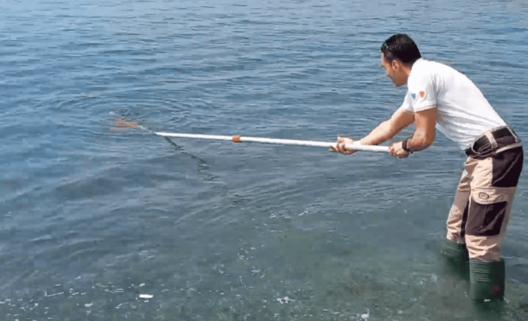 Balneazione, il mare di Diano Marina torna conforme