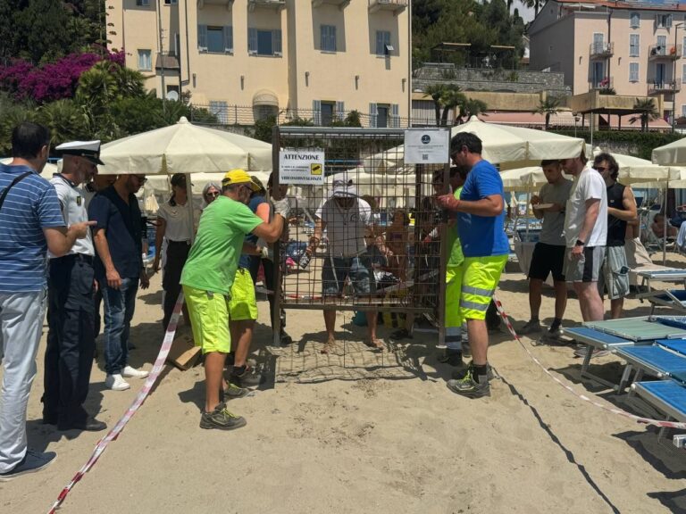 Ad Arma di Taggia un nuovo nido di tartaruga Caretta caretta