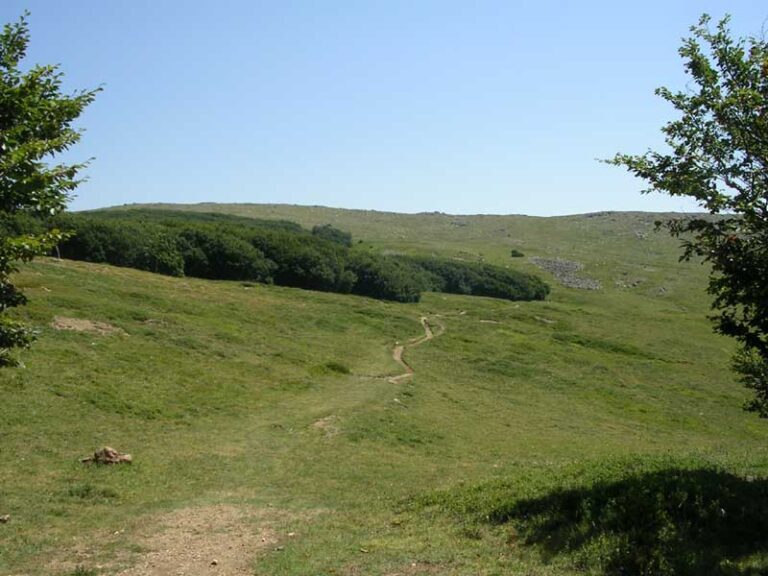 Parco dell’Aveto, gli eventi dall’ 8 al 14 agosto