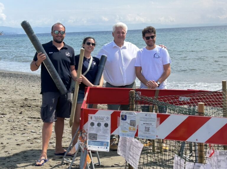 Savonese, il Consorzio Obiettivo Spiagge sostiene le associazioni che si occupano dei nidi di tartaruga